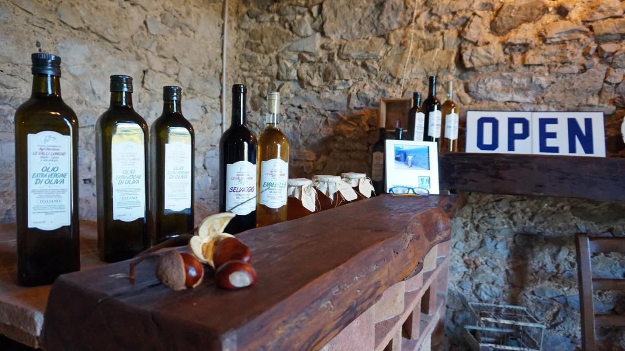 Agriturismo Le Vallilunghe Leilighet Lucca Eksteriør bilde