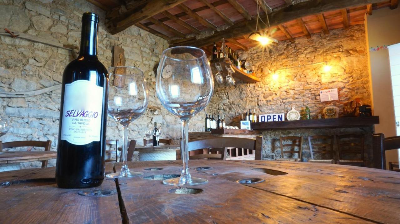 Agriturismo Le Vallilunghe Leilighet Lucca Eksteriør bilde