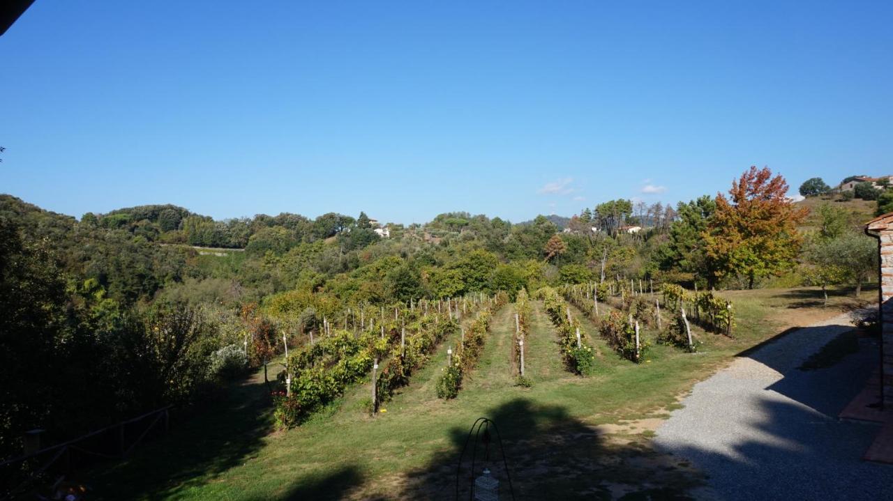 Agriturismo Le Vallilunghe Leilighet Lucca Eksteriør bilde