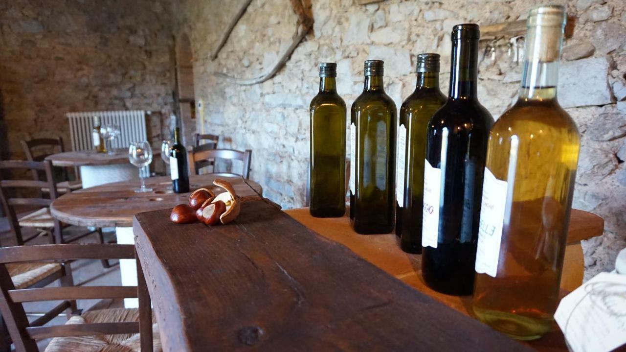 Agriturismo Le Vallilunghe Leilighet Lucca Eksteriør bilde
